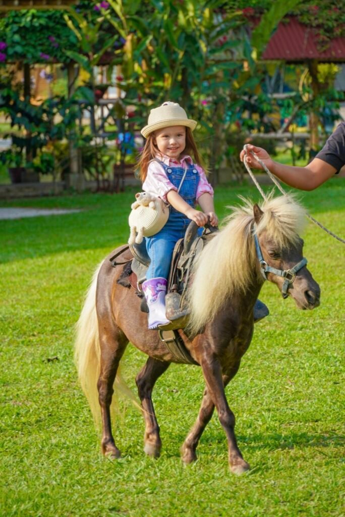 Tus hijos pueden disfrutar de nuestra mini horse.