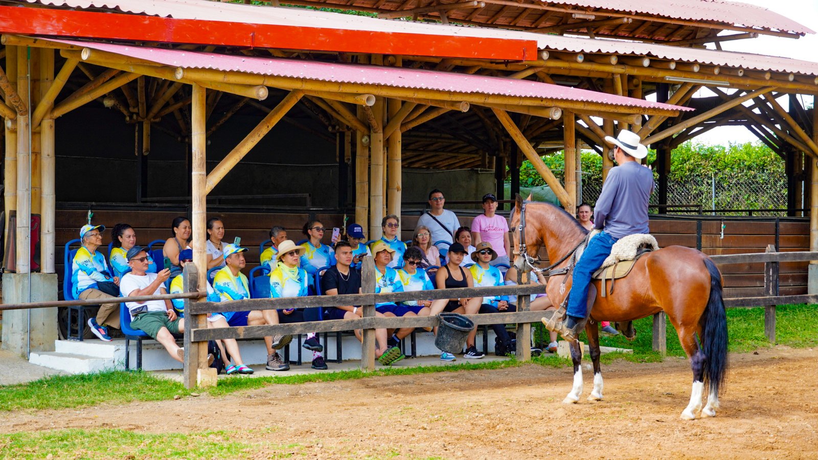Disfruta del taller equino en grupo con amigos o familia en la granja ecohotel