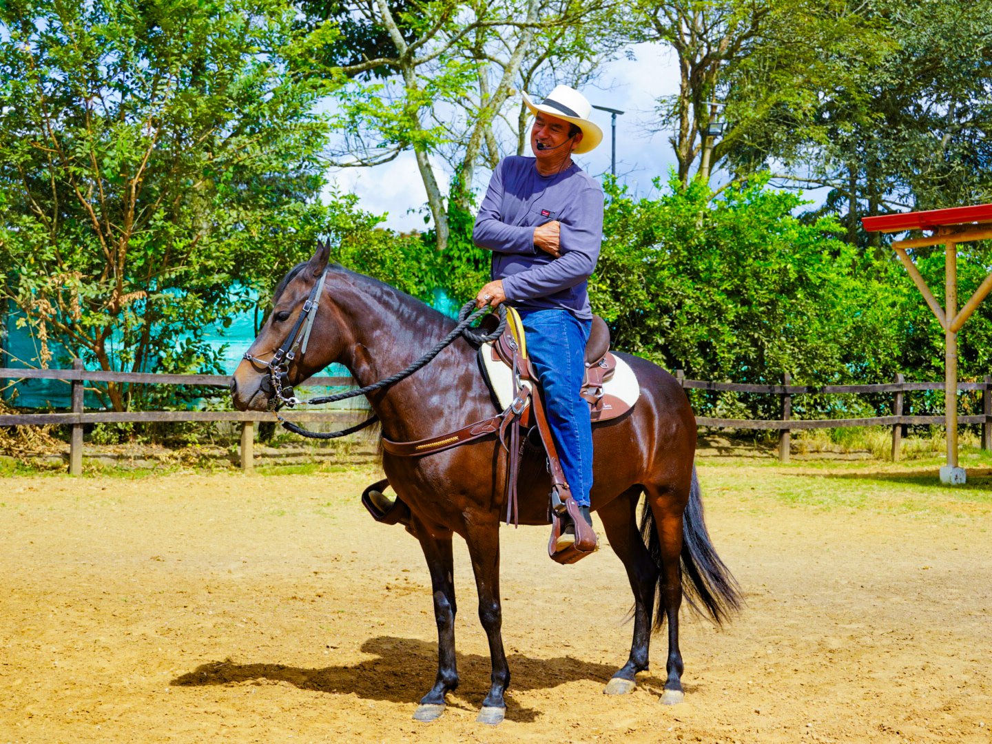 Aqui te enseñamos sobre como se comportan los caballos y distintos pasos de Colombia