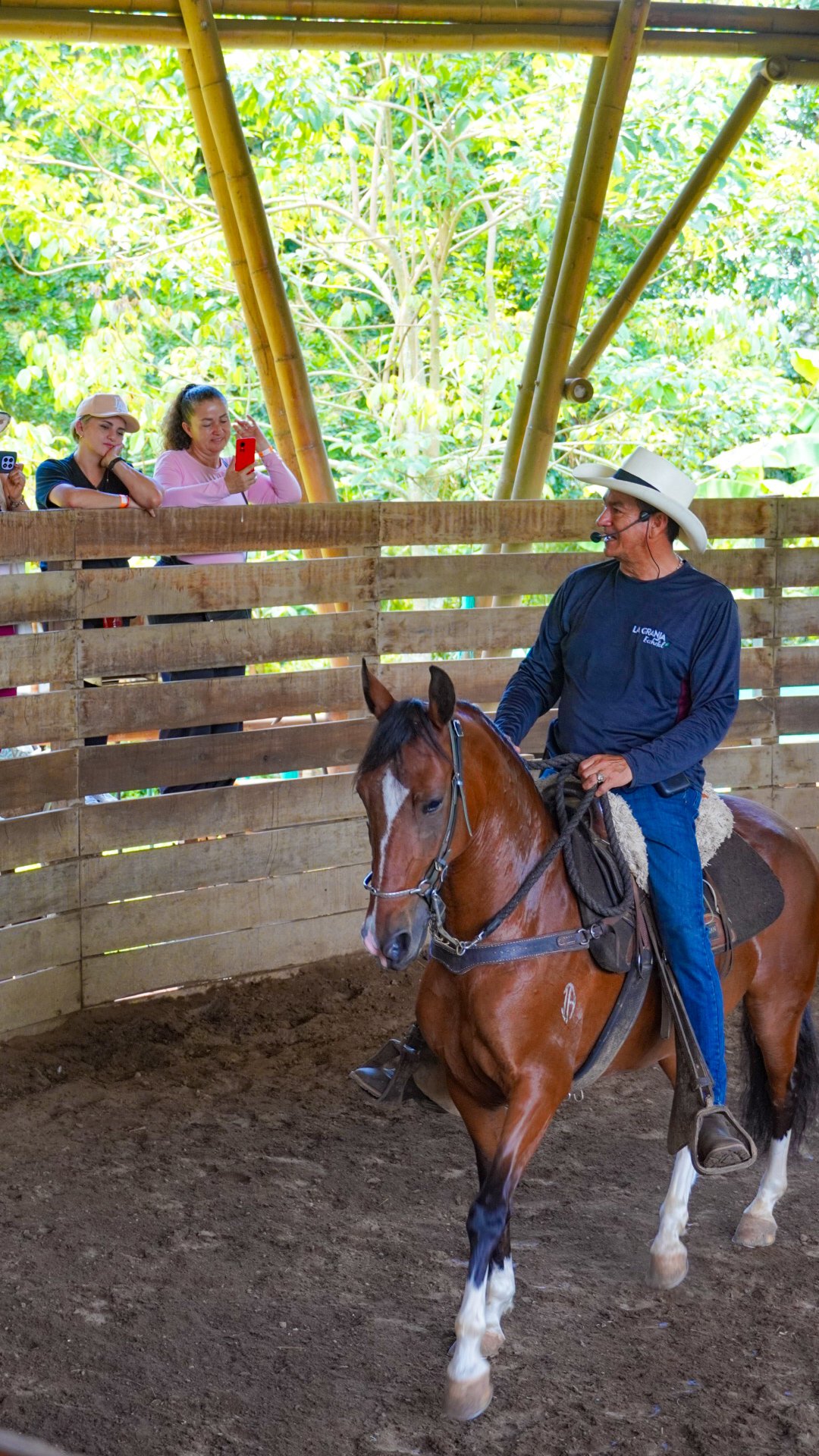 El taller equino es un espacio donde aprenderas de estos maravillosos animales