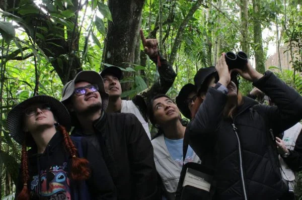 prog2-600x398