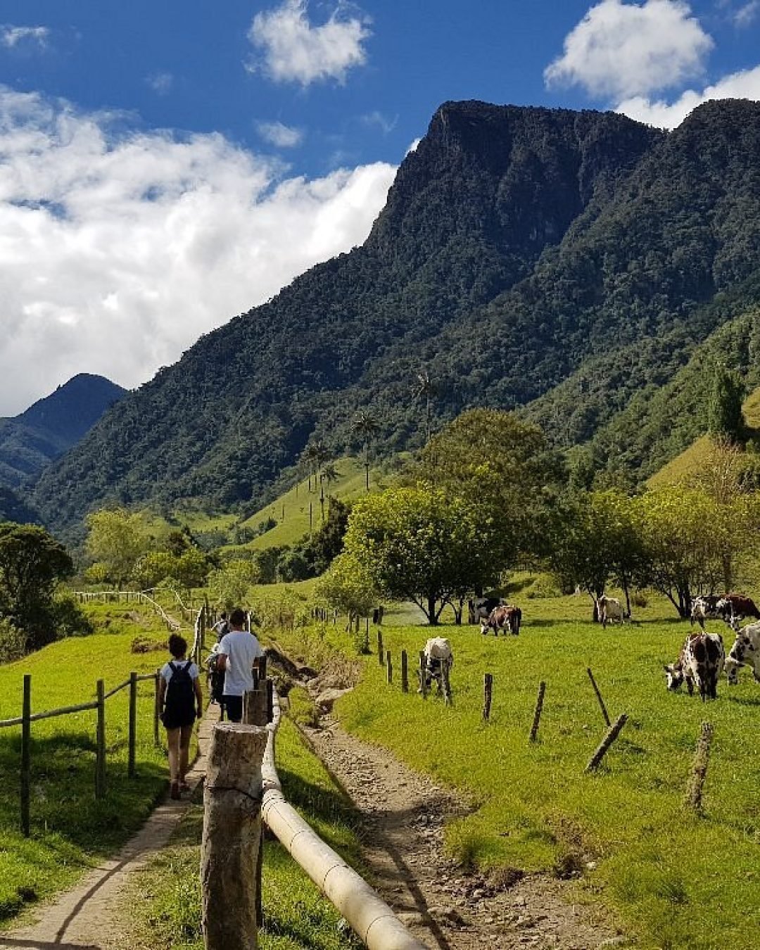 20190709-093333-largejpg