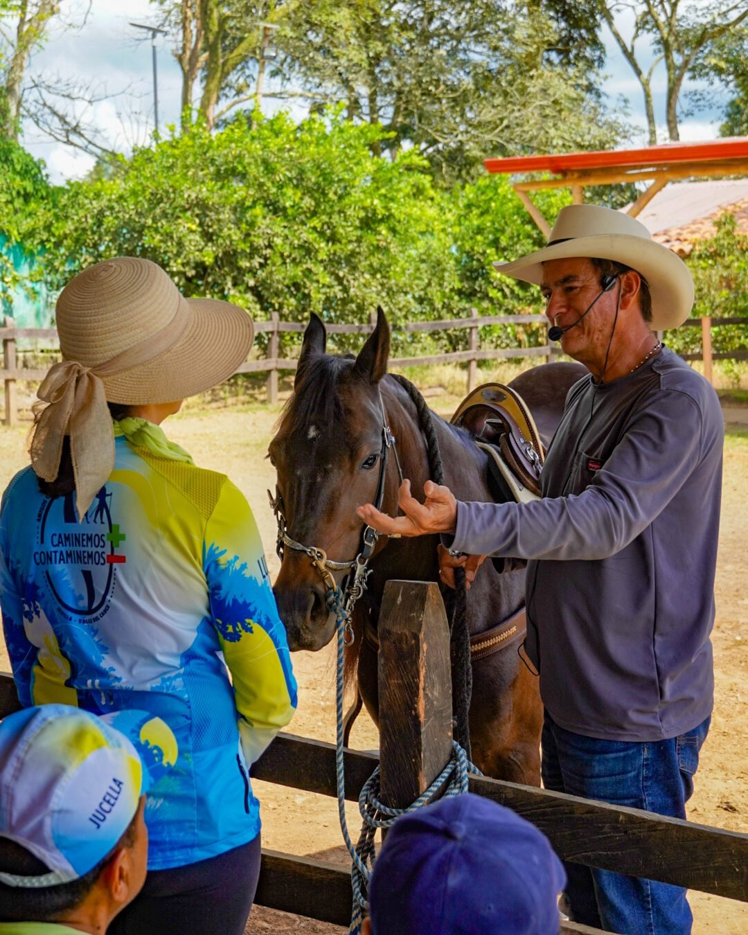 Aprende sobre la energia de los caballos y como puedes saludarlos con el taller equino de la granja ecohotel