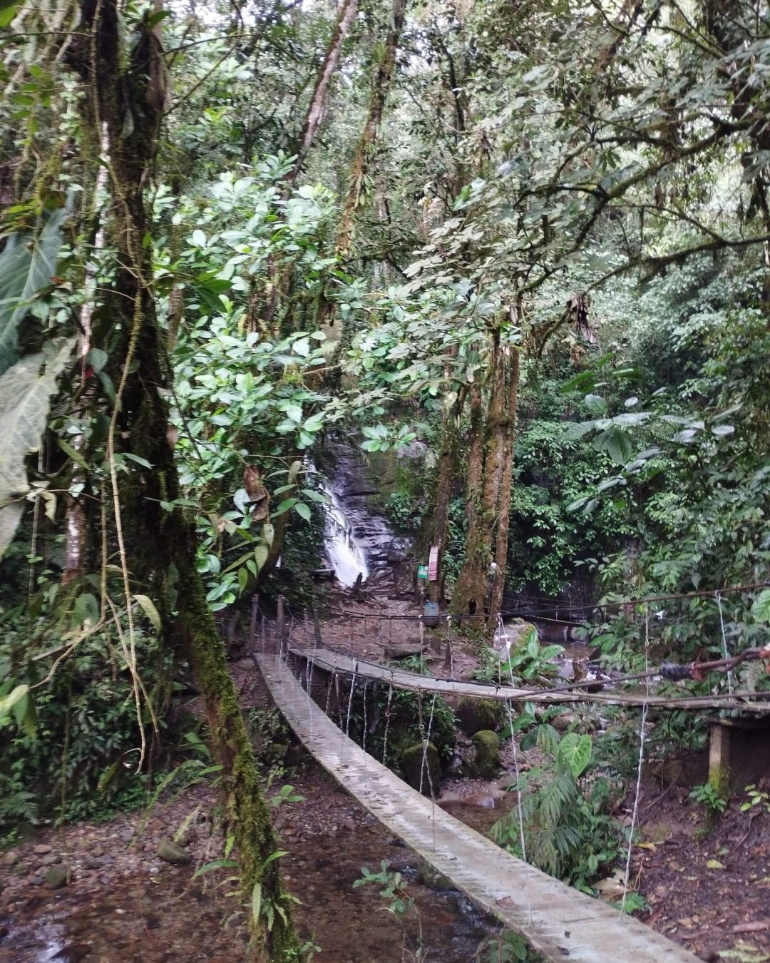 puente-cascada-santa-rita